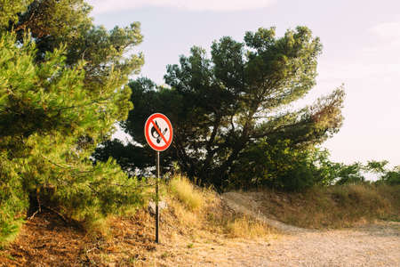 Prohibition sign prohibiting the open fire in a wooded camping areaの写真素材