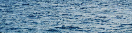 Serene nautical landscape with blue sea water waves, calming nature water, bannerの写真素材