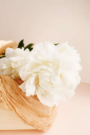 Flower composition with white peonies over peach color background, spring pastel colorsの写真素材