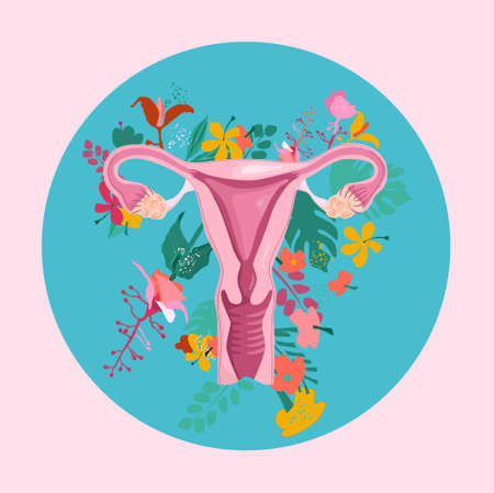Healthy female reproductive system with floral background.Uterus and cervix anatomy.Ovary with medinilla blossoms.International women day and girl power postcard.Fallopian tubes with lotus.Vectorのイラスト素材