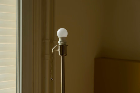 A stylish, modern metal floor lamp with a minimalist design stands unlit on a wooden floor. The shot...