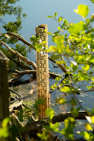 A water level gauge stands in a serene natural setting, surrounded by lush foliage and calm water. Ideal for environmental, scientific, or tranquil nature projects. Subtle detail.の写真素材