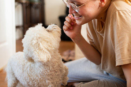A smiling girl plays joyfully with her Bichon Frise, tossing a toy in a bright room. The happy dog...