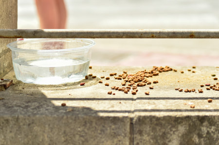 A close-up shot of dry cat food and a water bowl left out on a ledge. The bright sunlight highlights this simple act of care for stray felines, a common sight on the streets of Malta.の写真素材