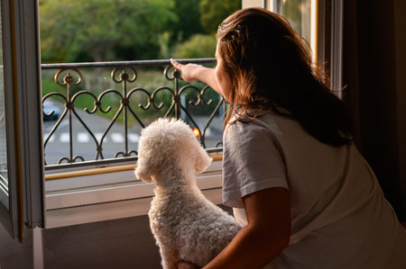 A brunette girl points out something from the window, as her white Bichon Frise looks on with...
