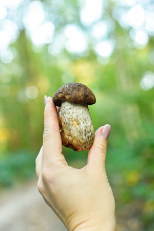 Vertical shot of a hand proudly holding a freshly picked Boletus edulis mushroom. Symbolizes a successful find during autumn foraging and family outdoor fun.の写真素材