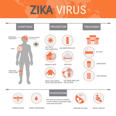 Zika virus infographic with symptoms, treatment, prevention, map, virus transmission concept isolated on white backgroundのイラスト素材
