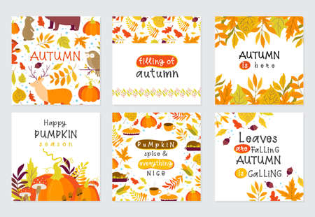 Vector set of Autumn greeting cards with pumpkin, forest animals, maple, oak, aspen leaves and lettering. Perfect template for holidaysのイラスト素材