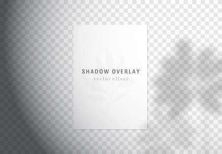 Vector transparent shadow overlay effects on white papers for branding and mockup presentations. Natural sun lighting and shadow. The palm leaves overlays shadowsのイラスト素材