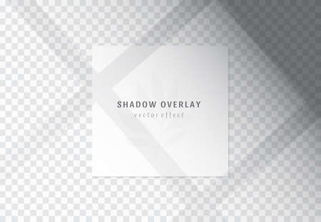 Vector transparent shadow overlay effects for branding and mockup presentations. Natural sun lighting and shadow. The window frames overlays shadowsのイラスト素材