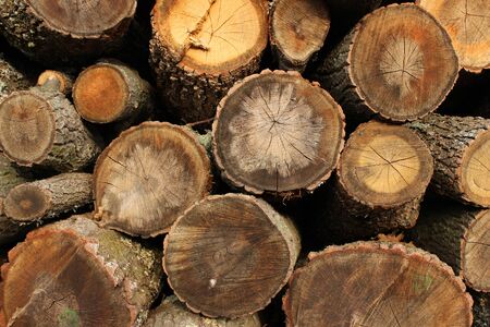 Many woods