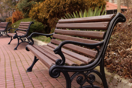 Several empty benches in the park. Spring and solitudeの写真素材