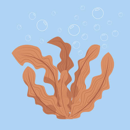 algae in the sea, porous flora and fauna, bubbles in the waterのイラスト素材