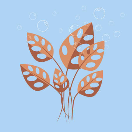 algae in the sea, porous flora and fauna, bubbles in the waterのイラスト素材