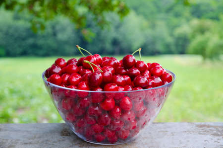 Sweet cherries as a backgroundの写真素材
