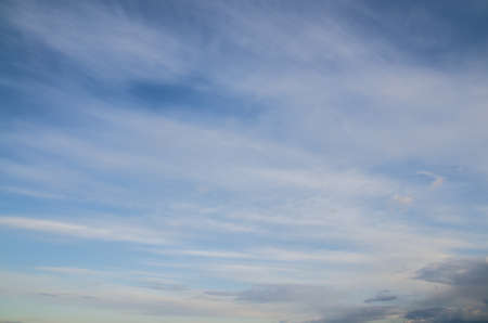Beautiful landscape, forest and blue skyの写真素材