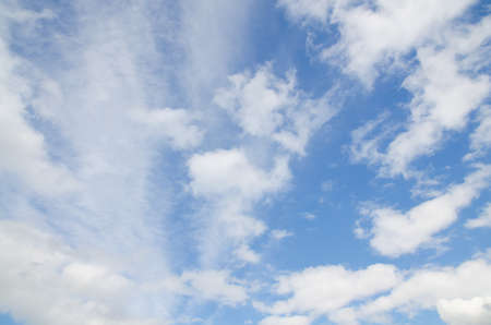 Beautiful landscape, forest and blue skyの写真素材