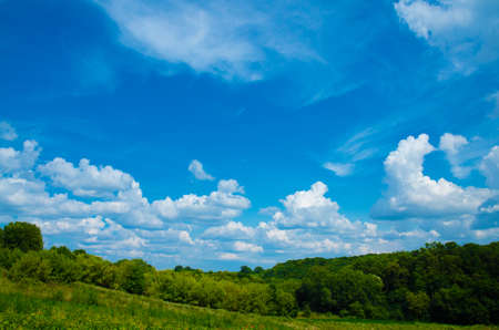 Beautiful landscape, forest and blue skyの写真素材