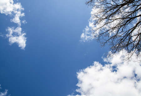 Beautiful landscape, forest and blue skyの写真素材