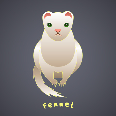 White ferret with green eyes on a gray backgroundのイラスト素材