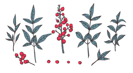 Set of hand-drawn  floral elements in sketch style. Vintage Vector illustrationのイラスト素材
