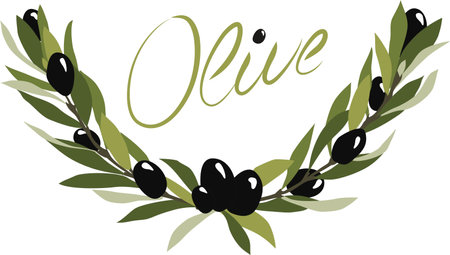 Olive brunch isolated. fresh olives. Kitchen symbol. Flat design. Vector stock illustration colored. Lettering. Cooking Italian style. Perfect for menu decorationのイラスト素材