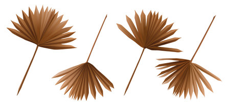 paper dried palm leafs isolated brown colour big 3d vector set. Bouquet compilation part. Floristic design Card invitation tropic wrapping Boho style retro symbol palm leaf decoration Trendy botanicsのイラスト素材