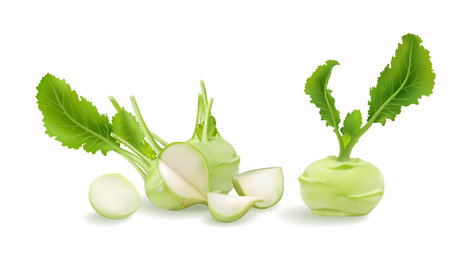 3d realistic Kohlrabi, German turnip or turnip cabbage big vector illustration set Raw bulbs with fresh leaves isolated on white background. biennial vegetable low stout cultivar of wild cabbage. rootの写真素材