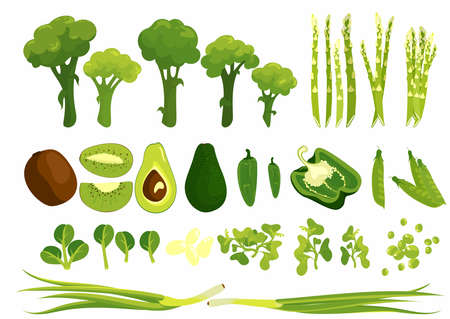 Green goods, fresh vegetables, green-stuff big compilation set. Avocado, pees bell pepper jalapeno green onion spinach cress salad, asparagus, broccoli, vitamin splash, salad. Vector illustrationのイラスト素材