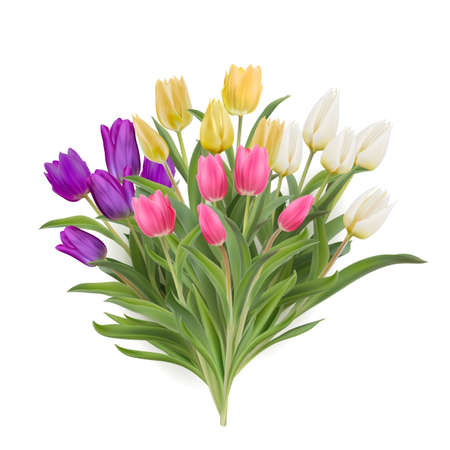 Multicolour bouquet of tulips realistic 3d vector illustration. Yellow, white, pink, purple tulips with leaves isolated on white. Women day 8 march spring symbol. Bouquet fresh shiny tulipsの写真素材
