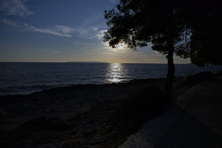 Reflection of a setting sun on sea surface with tree in foreground