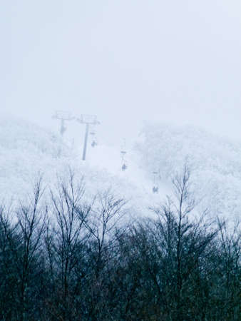 snowstormの写真素材