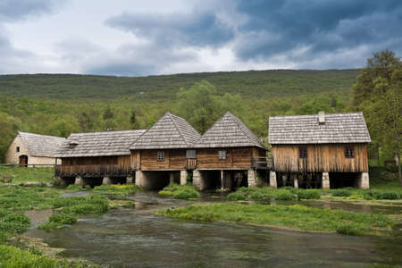 live in harmony with natureの写真素材