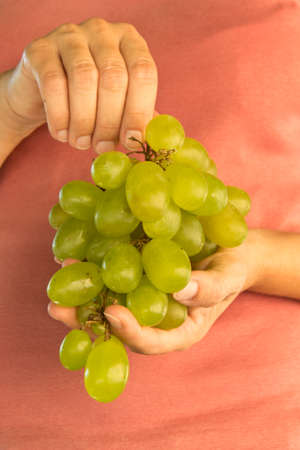 cluster in handの写真素材