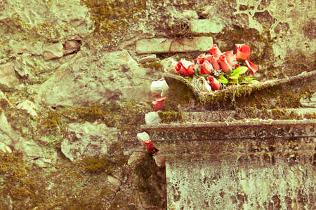 roses on the old tombの写真素材