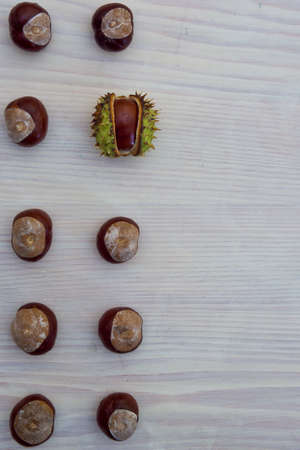 Block of 10 European chestnuts with one shellの写真素材