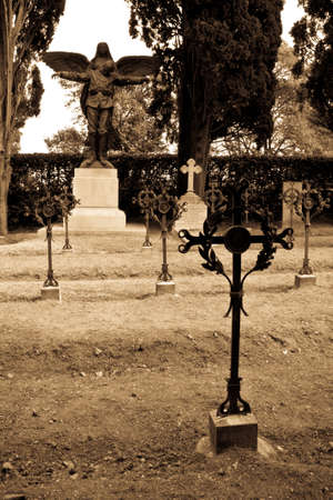 iron crosses in the military cemeteryの写真素材