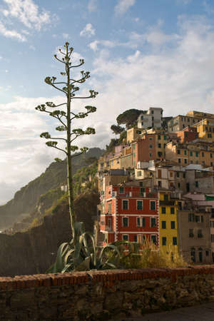 old village of Riomaggiore , Italyの写真素材