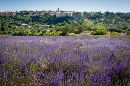 view of the city Sault, Franceの写真素材