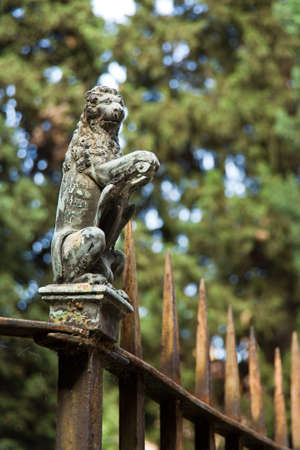 rusted wrought iron fence,with the lion's figure as decoration, shallow depth of fieldの写真素材