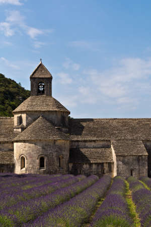 Senanque Abbey and lavender field , Provence, Franceの写真素材