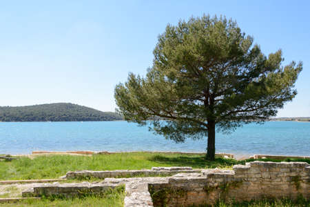 Roman remains,Medulin, Istria region, Croatiaの写真素材