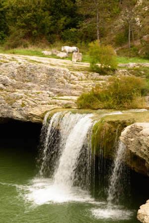 Natural wonder in Istria , Croatiaの写真素材