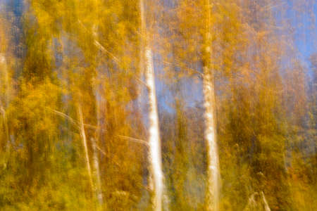 Autumnal blur scenic backgroundの写真素材