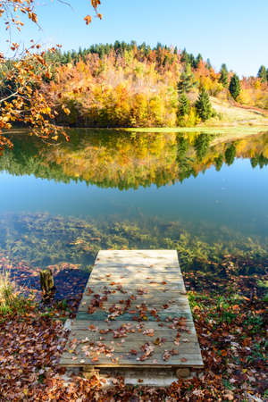 autumn leaves reflecting in the waterの写真素材