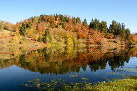 autumn leaves reflecting in the waterの写真素材