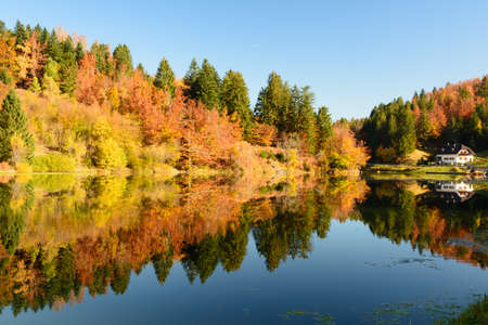 autumn leaves reflecting in the waterの写真素材
