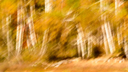 Autumnal blur scenic backgroundの写真素材