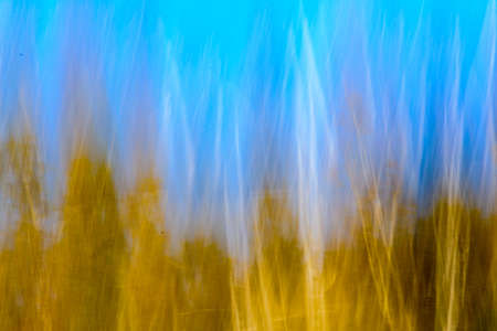 Autumnal blur scenic backgroundの写真素材