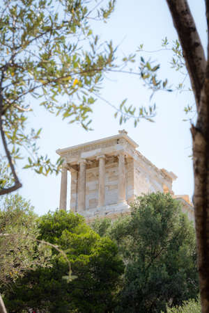 View of the Acropolis through the olive tree in Athens, Greece